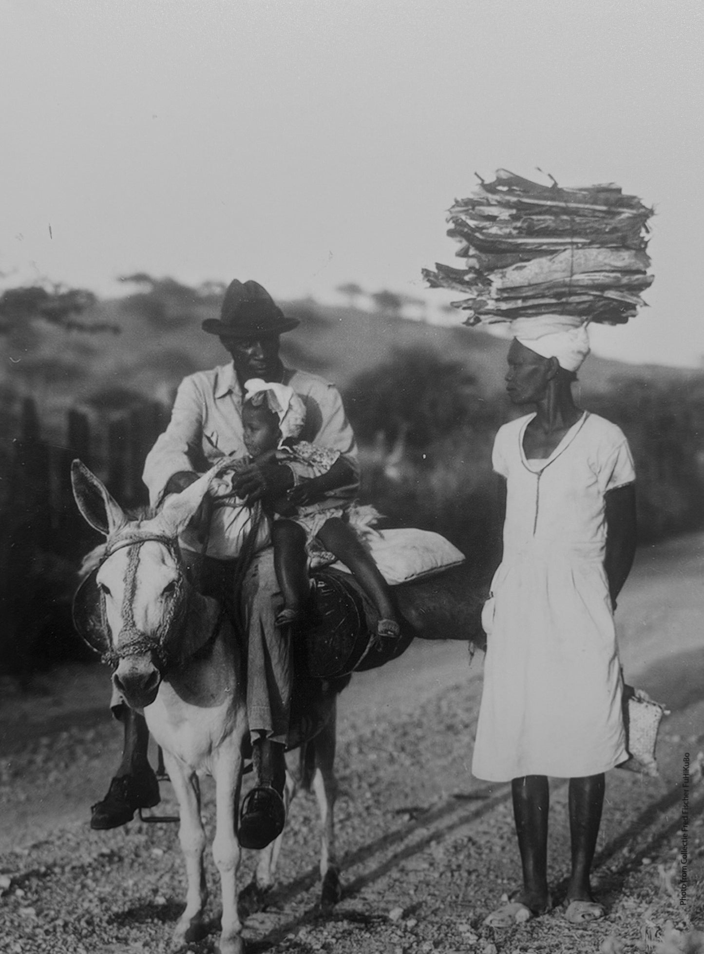 Rinconero de Puro Sepa Scarf